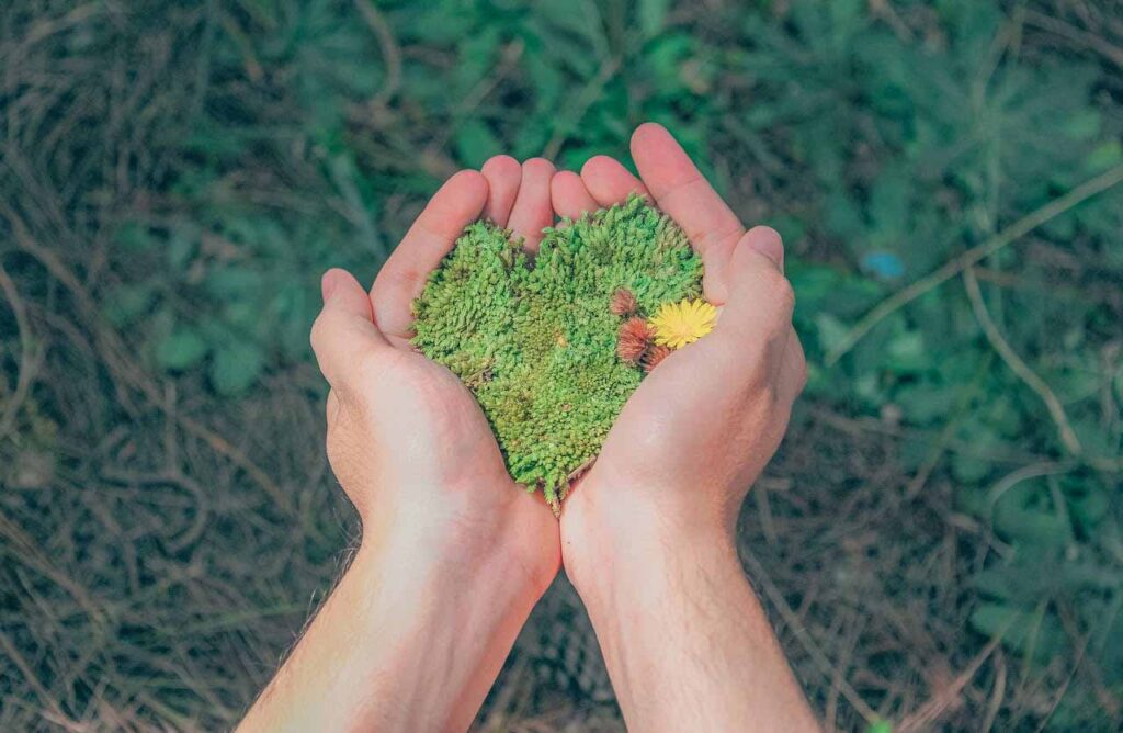 eco fashion clothing, organic cotton clothes flatlay